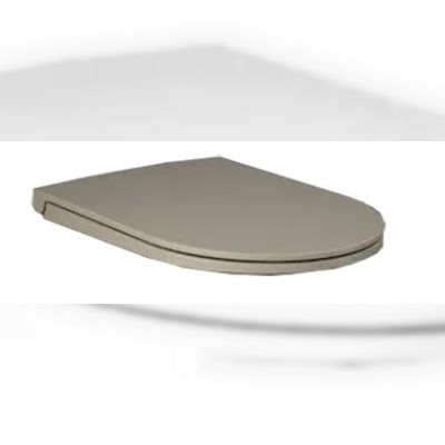 Сидіння і кришка для унітазу RAK Ceramics Feeling Sanitaryware (RSTSC3901514)
