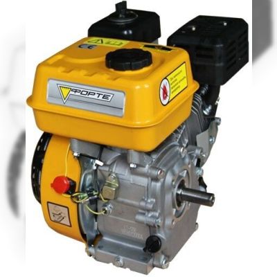 Двигун бензиновий Forte F210GS-20 (797280)
