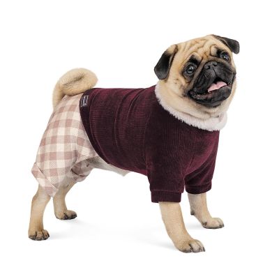 Костюм для собак Pet Fashion «Spell» XS