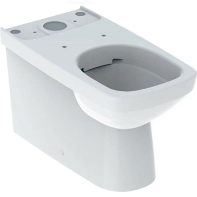 Унітаз GEBERIT SELNOVA Square Rimfree під бачок зовнішнього монтажу (500.489.01.7)