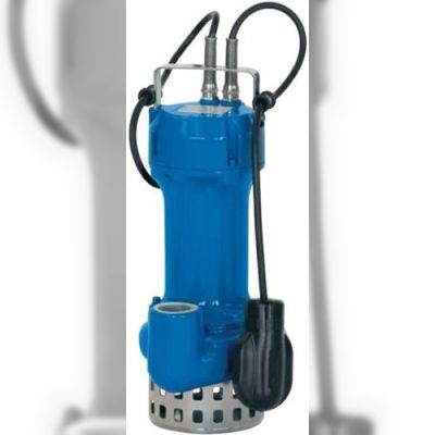 Дренажний насос Speroni ECM 100-DS (101290580)