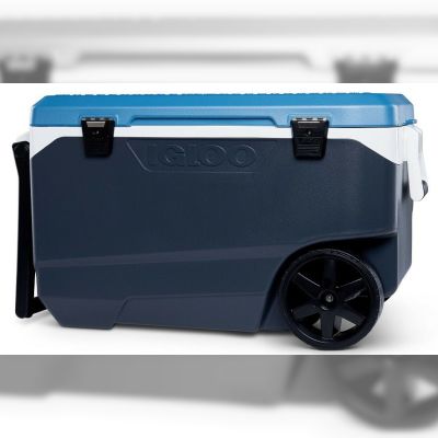 Ізотермічний контейнер Igloo Maxcold Latitude 90 Roller 85 л (0342233448878)