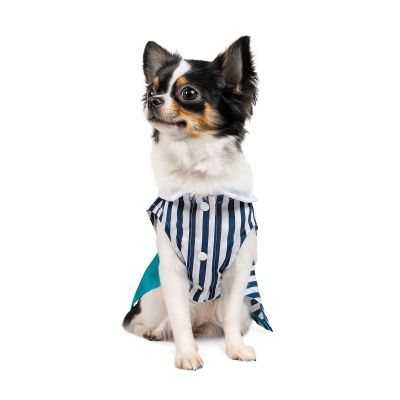 Сукня для собак Pet Fashion «Band» S (багатокольорова)
