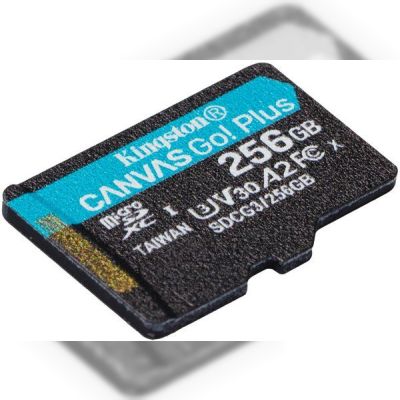 Карта памяти Kingston microSDXC 256GB Canvas Go Plus 170R A2 U3 V30 (SDCG3/256GBSP)