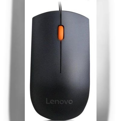 Мышь Lenovo 300 USB (GX30M39704)