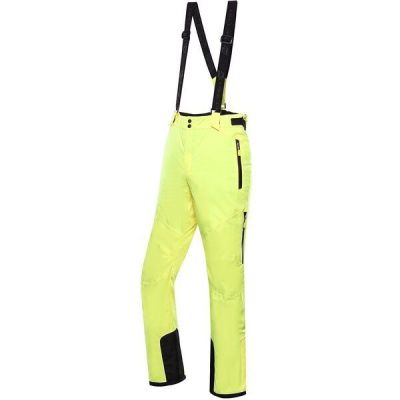 Брюки мужские Alpine Pro Lermon MPAY615 236 L желтый
