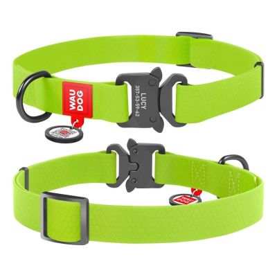 Нашийник Collar WAUDOG Waterproof з QR-паспортом 24-40 см/20 мм (салатовий)