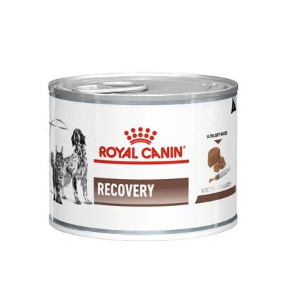 Вологий корм для котів і собак у період реабілітації Royal Canin Recovery 195 г - домашня птиця - dgs