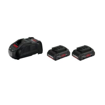 Набор аккумуляторов Bosch ProCORE18V 4.0Ah + ЗУ (1600A016GF)