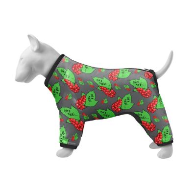 Дощовик для собак WAUDOG Clothes малюнок «Калина» S 40