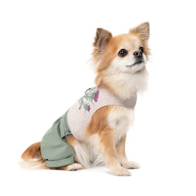Шлея-костюм для собак Pet Fashion Patrik S