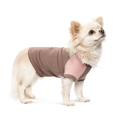 Футболка для собак Pet Fashion Rose S