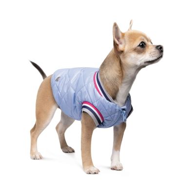 Бомбер для собак Pet Fashion «Spike» М
