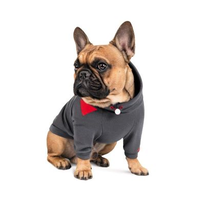 Худі для собак Pet Fashion «Snoodie» S-M (сірий)