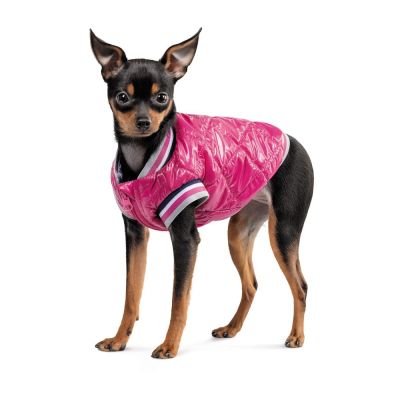 Бомбер для собак Pet Fashion «Grace» S