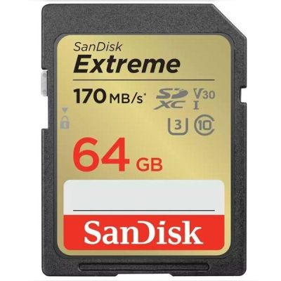 Карта памяти SanDisk SD 64GB C10 UHS-I U3 R170/W80MB/s Extreme V30 (SDSDXV2-064G-GNCINЯ)