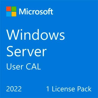 Примірник ПЗ Microsoft Windows Server 2022 CAL 1 User рос, ОЕМ без носія