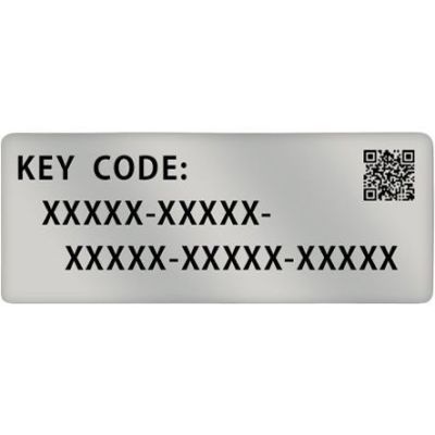 Программный ключ для активации Panasonic DMW-SFU2GU