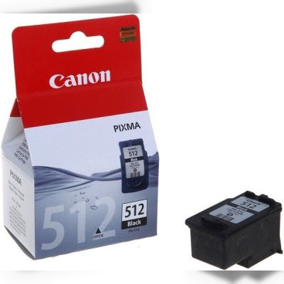 Картридж струйный CANON PG-512Bk MP260 (2969B007)