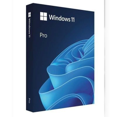 ПО Microsoft Windows 11 Pro FPP 64-bit Eng Intl non-EU/EFTA USB (HAV-00164)