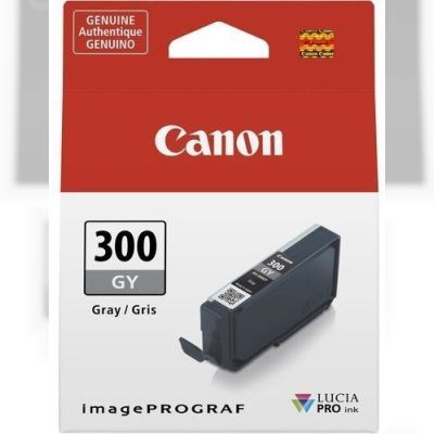 Картридж струйный Canon PFI-300 GY (4200C001)
