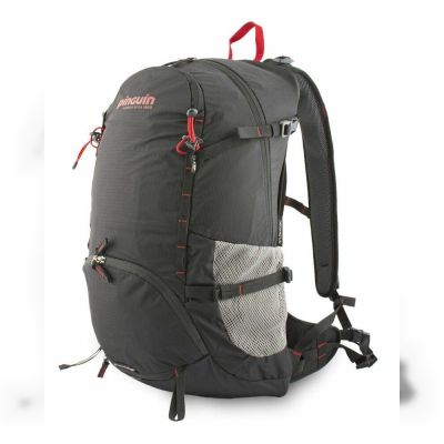 Рюкзак Pinguin Air 33, Black (PNG 317190) 2020