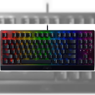 Игровая клавиатура Razer BlackWidow V3 Tenkeyless Green Switch USB RU RGB, Black (RZ03-03490700-R3R1)