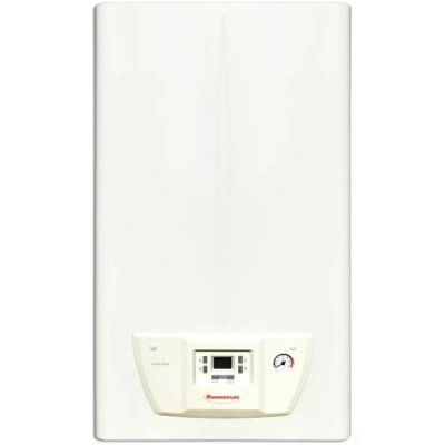 Котёл газовый Immergas Nike Star 24 4 E (3.027058)