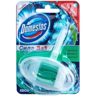 Блок туалетный Domestos Хвоя 35г