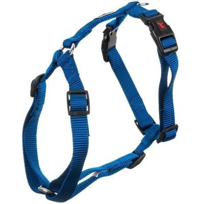 Шлея для собак нейлон GimDog Harlem H 1.0х33-44 см Голубая
