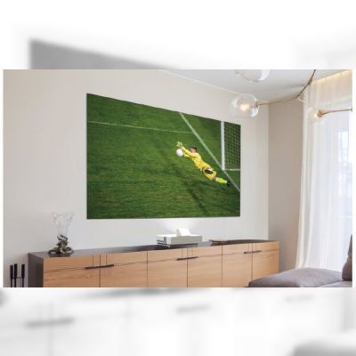 Экран фиксированный Epson ELPS36 16:9, 120", 2.66x1.5м ALR (V12H002AG0)