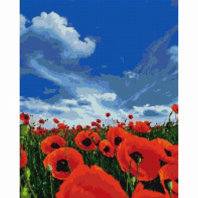 Алмазна мозаїка Brushme Макове поле (DBS1051)