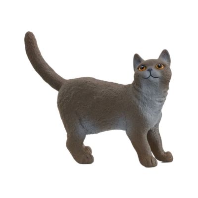Фігурка Schleich Британська короткошерста кішка (13973)