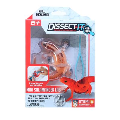 Набір для дослідів Joker Slimy Lab Анатомія тварин - Саламандра S (38085)