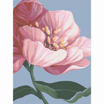 Картина за номерами Brushme Квітни (RBS53759)