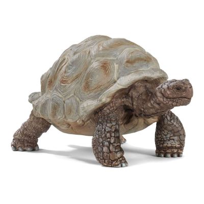 Ігрова фігурка Schleich Wild life Гігантська черепаха (14824)