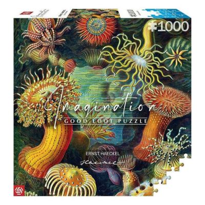 Пазл GoodLoot Imagination Ernst Haeckel Sea Anemones 1000 елементів (5908305244943)