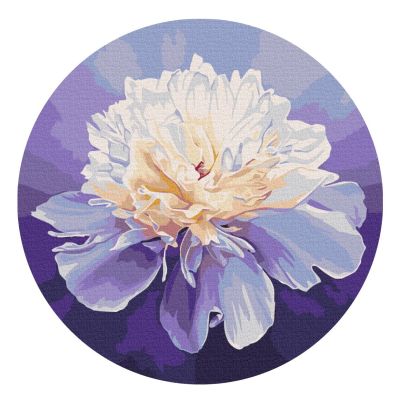 Картина за номерами Brushme Ніжна півонія (RC00074M)