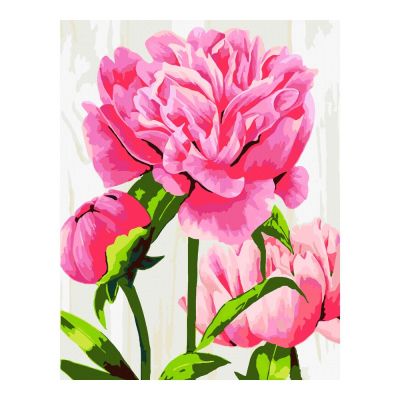 Картина за номерами Rosa Start Яскраві півонії 35 х 45 см (N00013651)