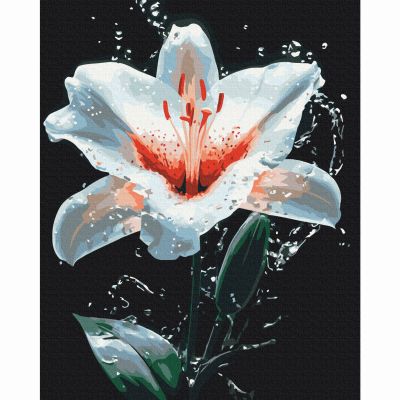 Картина за номерами Brushme Сяйво лілії 40х50 см (BS54156)