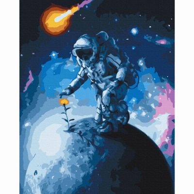 Картина за номерами Brushme Квіти Всесвіту (BS38452)