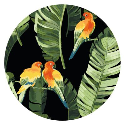Картина за номерами Brushme Папуги в тропіках (RC00018M)