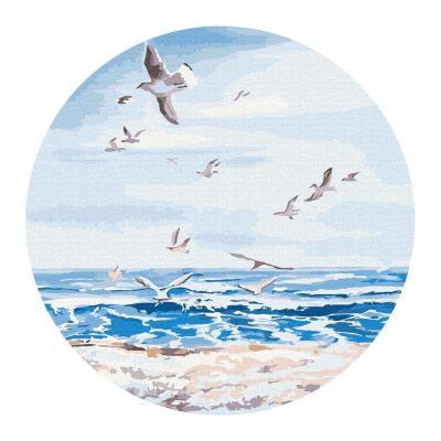 Картина за номерами Brushme Політ над морем (RC00067M)