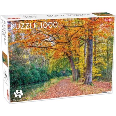 Пазл Tactic Стежка вздовж каналу 1000 елементів (56238)