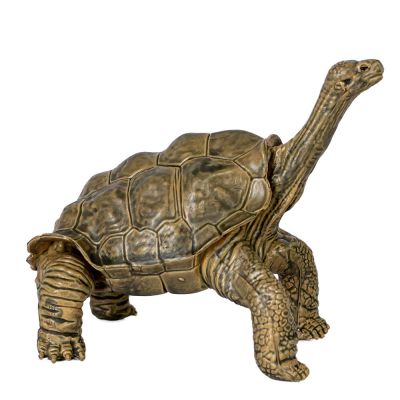 Ігрова фігурка Kids Team Сафарі Абінґдонська слонова черепаха світла (Q9899-A63/1)