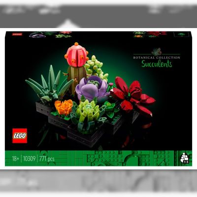 Конструктор LEGO Botanicals Сукуленти (10309)