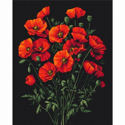 Картина за номерами Brushme Чарівність маків 40х50 см (BS54146)