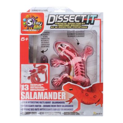 Набір для дослідів Joker Slimy lab Анатомія тварин Саламандра (38071)