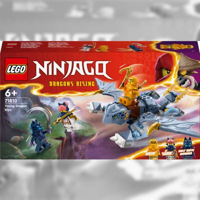 Конструктор LEGO NINJAGO Молодий дракон Рію (71810)