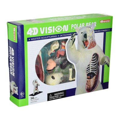 Об’ємна збірна анатомічна модель Білий ведмідь(26097)